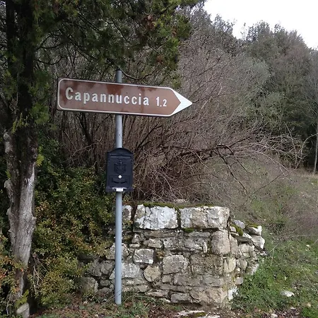 Capannuccia Villa