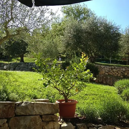 Capannuccia * Castellina in Chianti