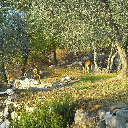 Villa Villa Capannuccia